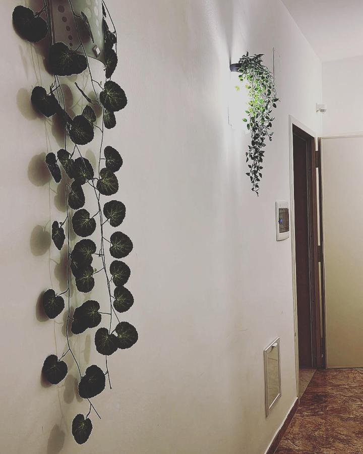 Esperanto B&B Bari Eksteriør bilde